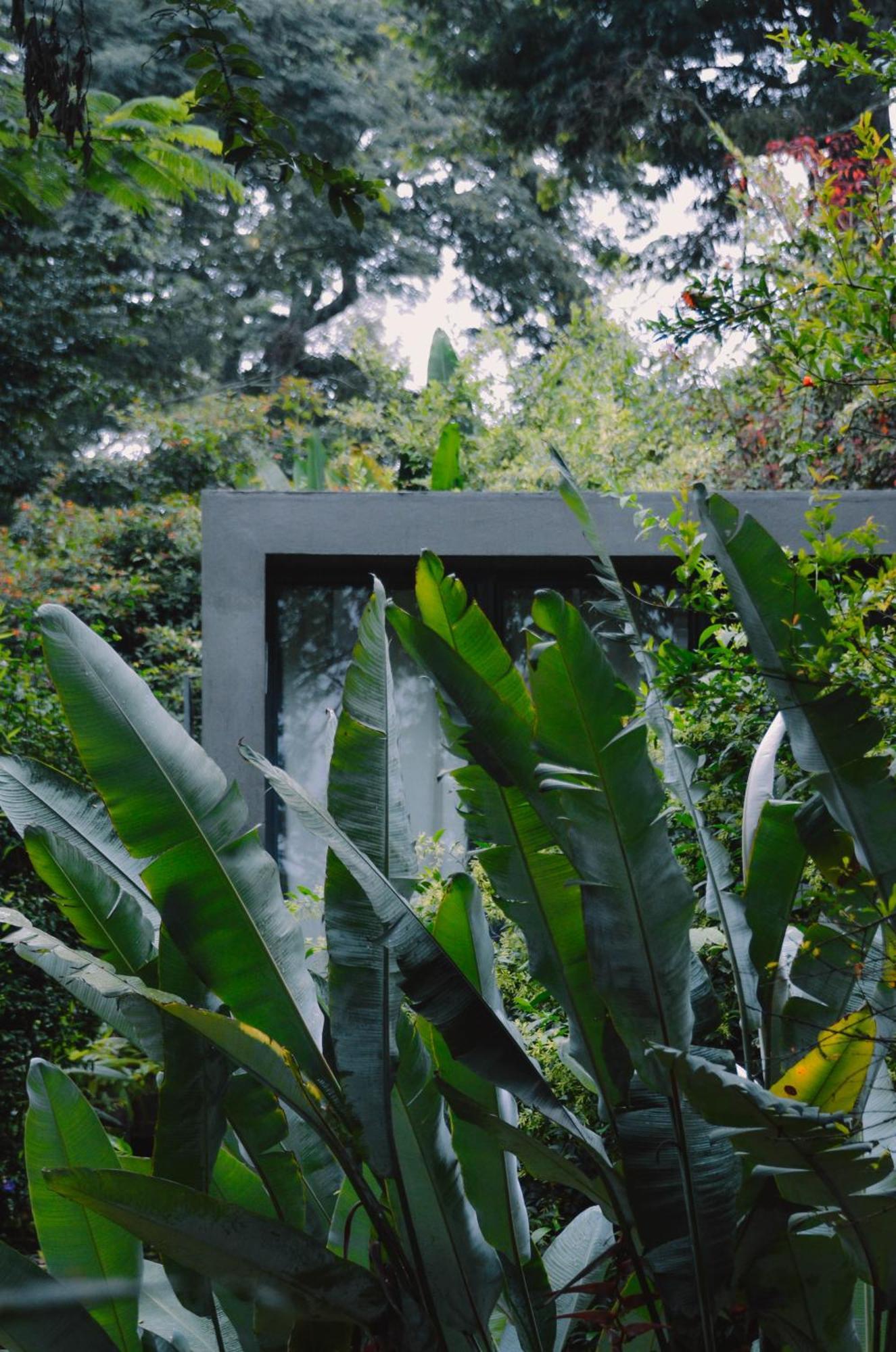 Lodge Kaliwa